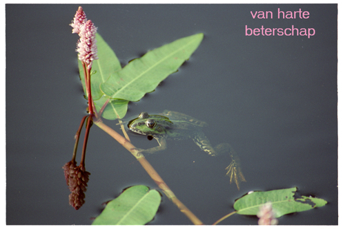 Klik voor een vergroting!